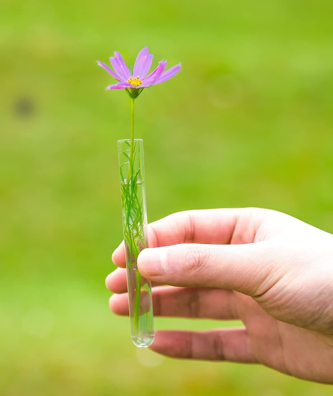 12×100mm Plastic Test Tubes with Caps, 8ml, Clear