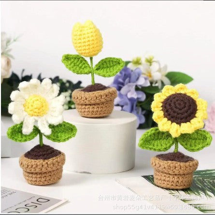 Crochet Kit for Beginners – DIY Potted Plant Crochet Set, Starter Knitting Kit for Adults and Kids