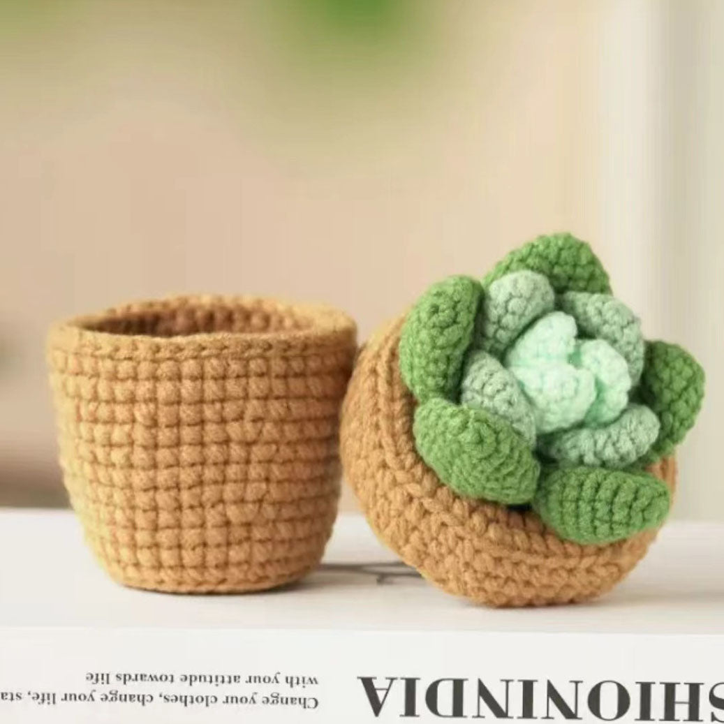 succulent crochet kit Crochet Kit for Beginners – DIY Potted Plant Crochet Set, Starter Knitting Kit for Adults and Kids